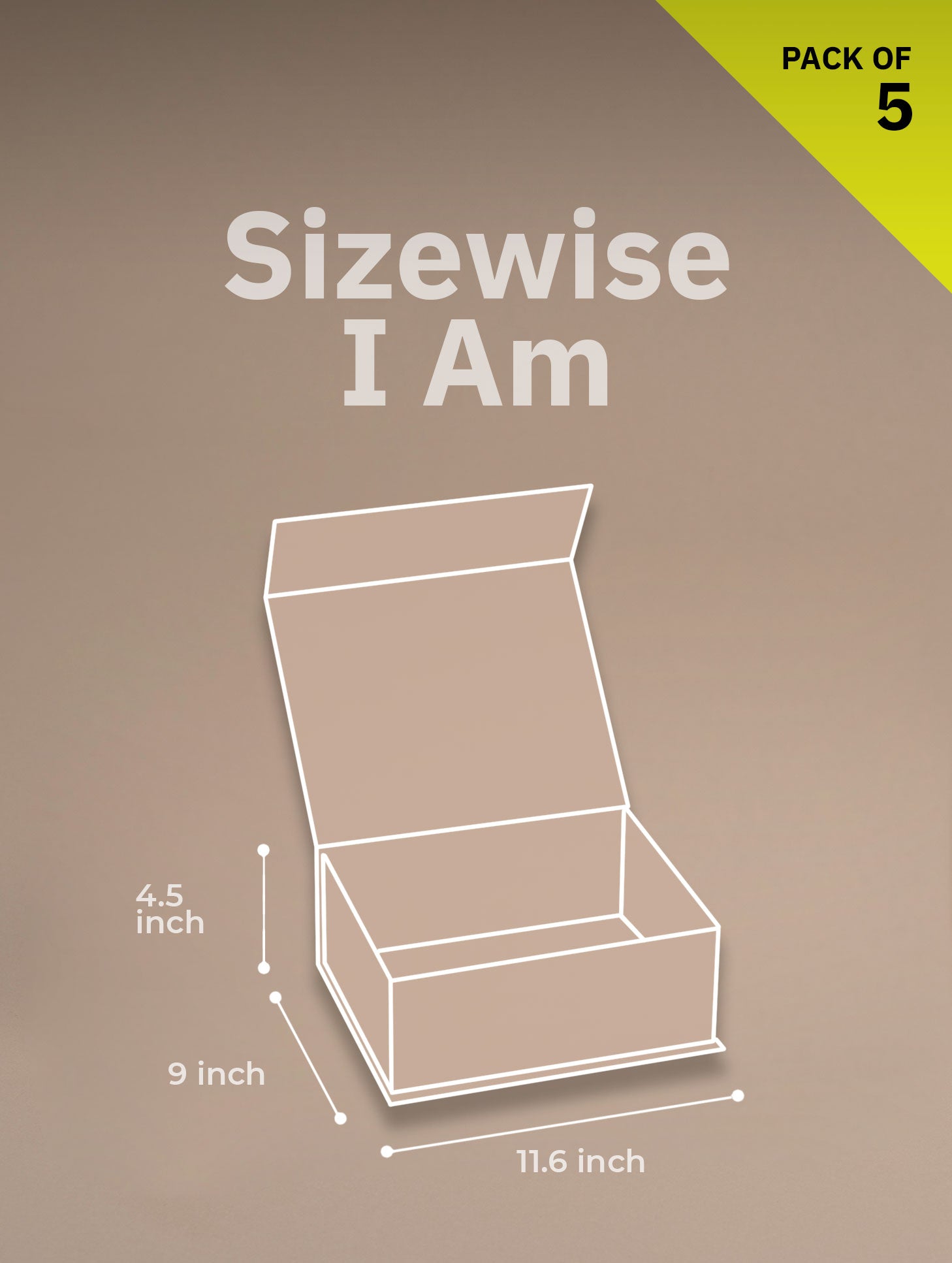 Collapsible Magnetic Box (Large Size)