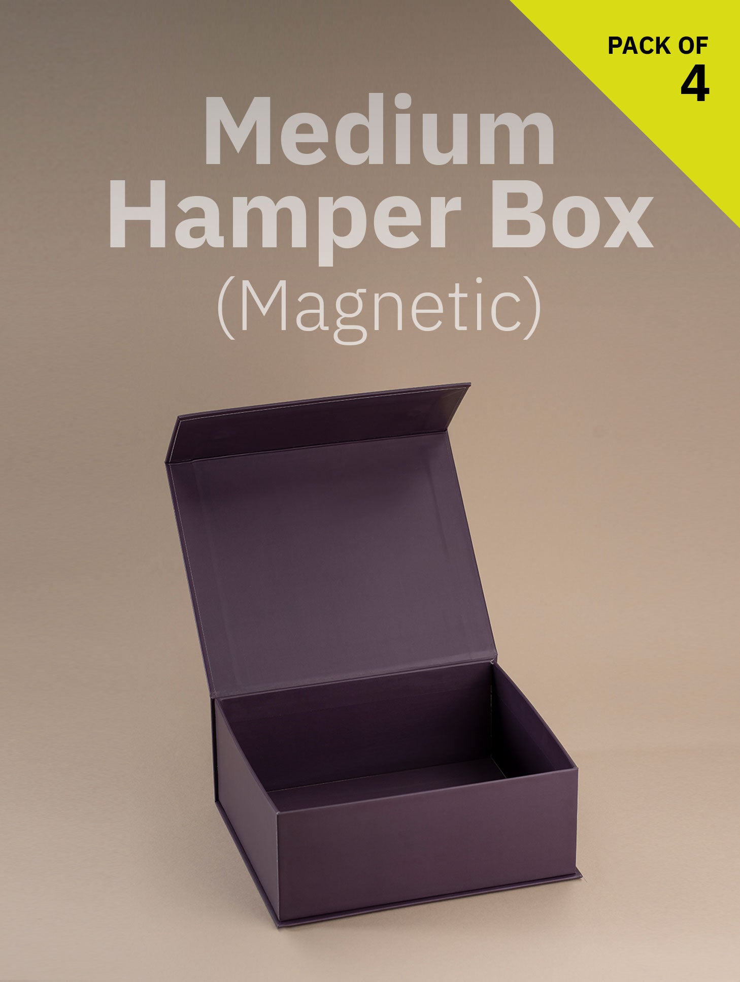Magnetic Locking Box (Medium Size)