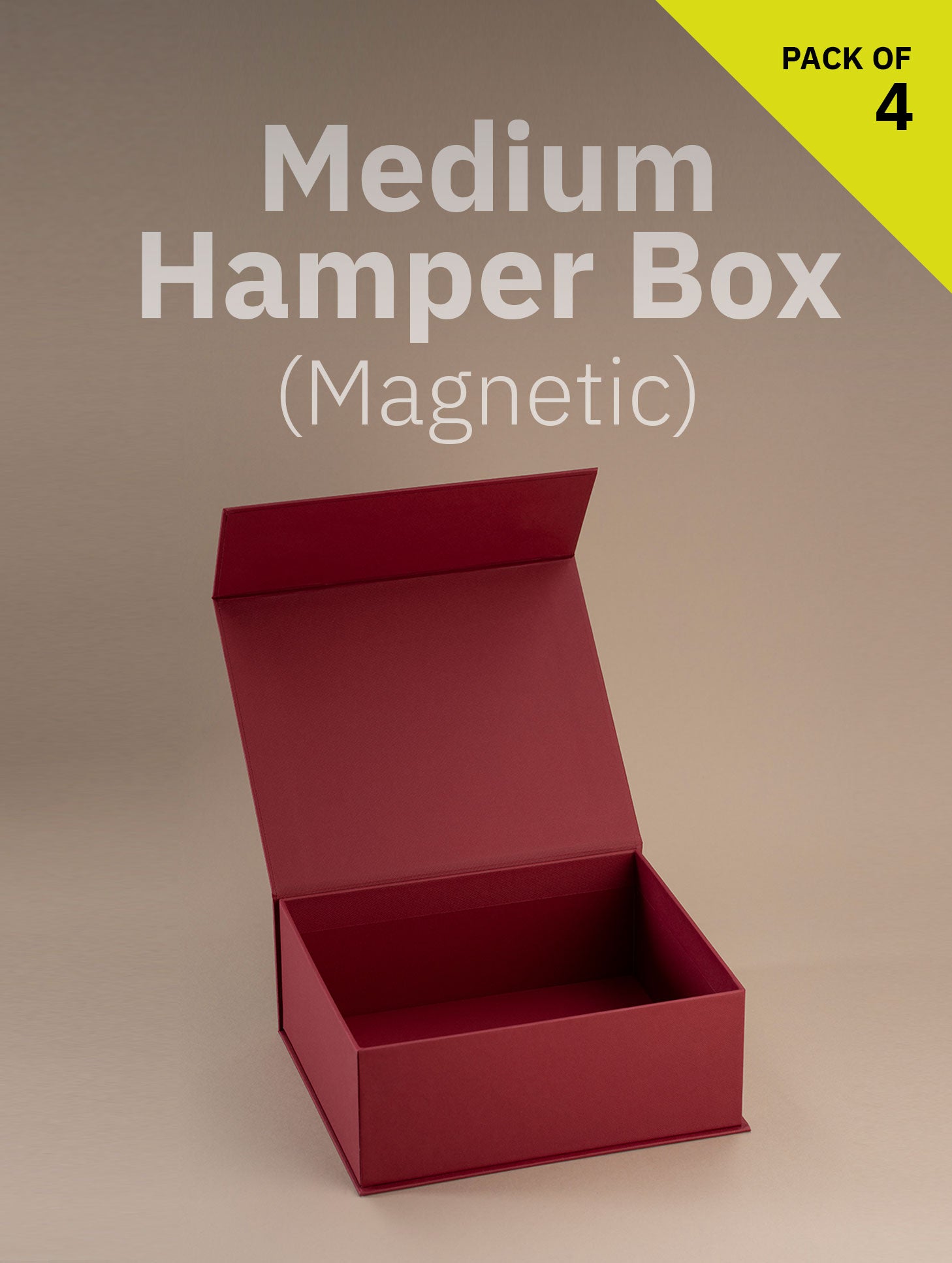 Magnetic Locking Box (Medium Size)
