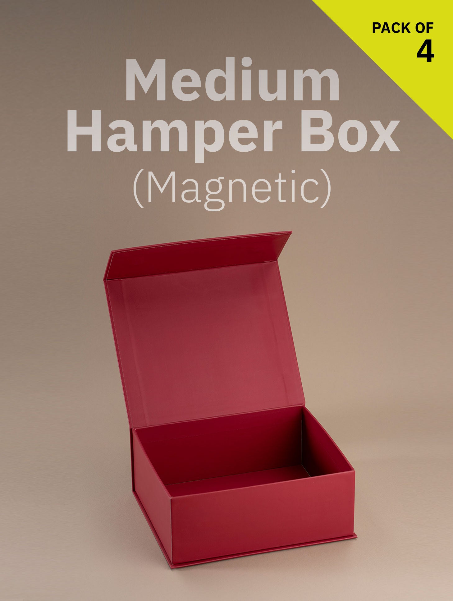 Magnetic Locking Box (Medium Size)