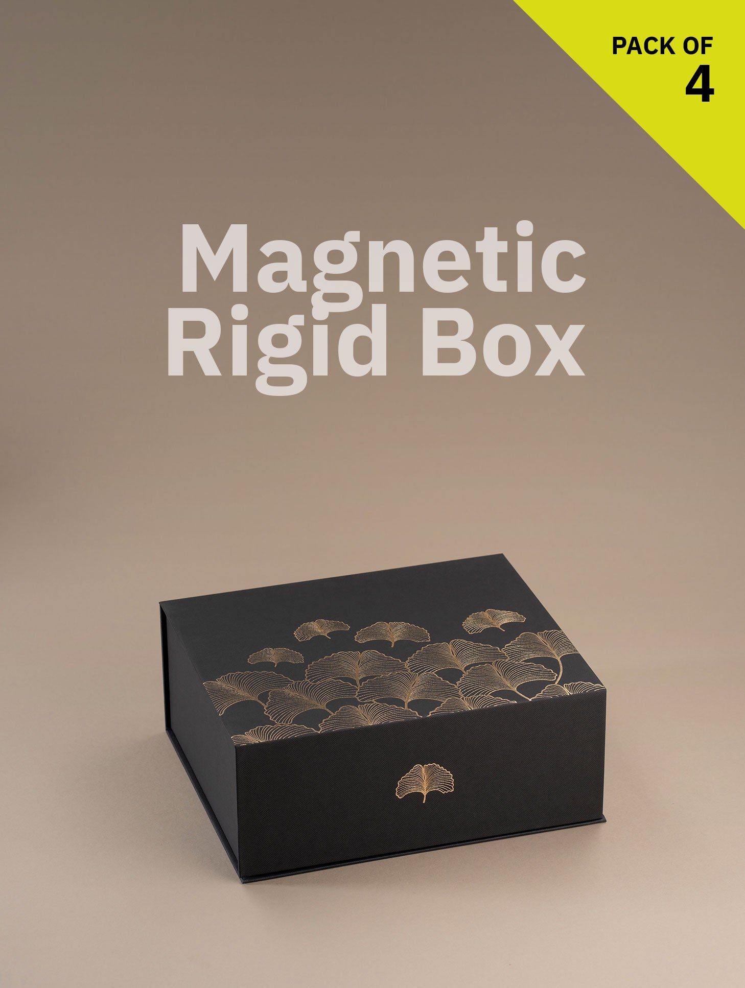 Magnetic Locking Box (Medium Size)