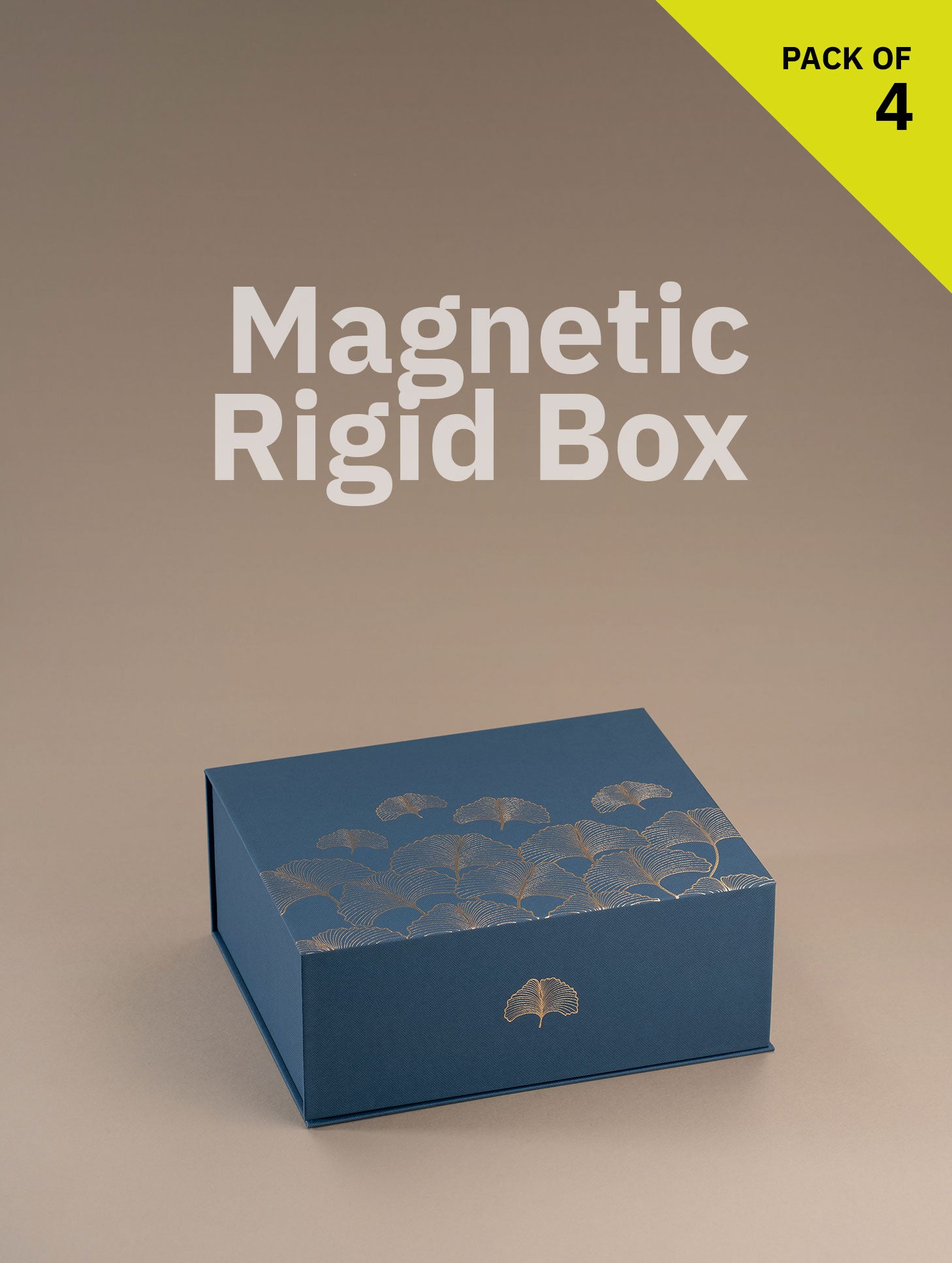 Magnetic Locking Box (Medium Size)