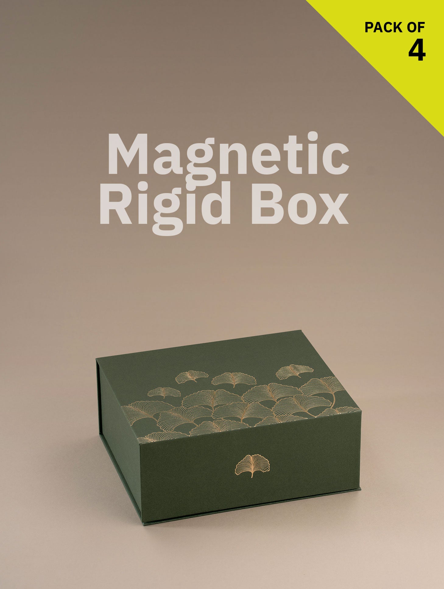 Magnetic Locking Box (Medium Size)