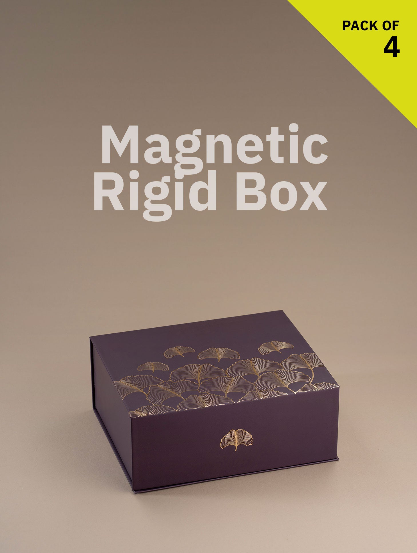 Magnetic Locking Box (Medium Size)