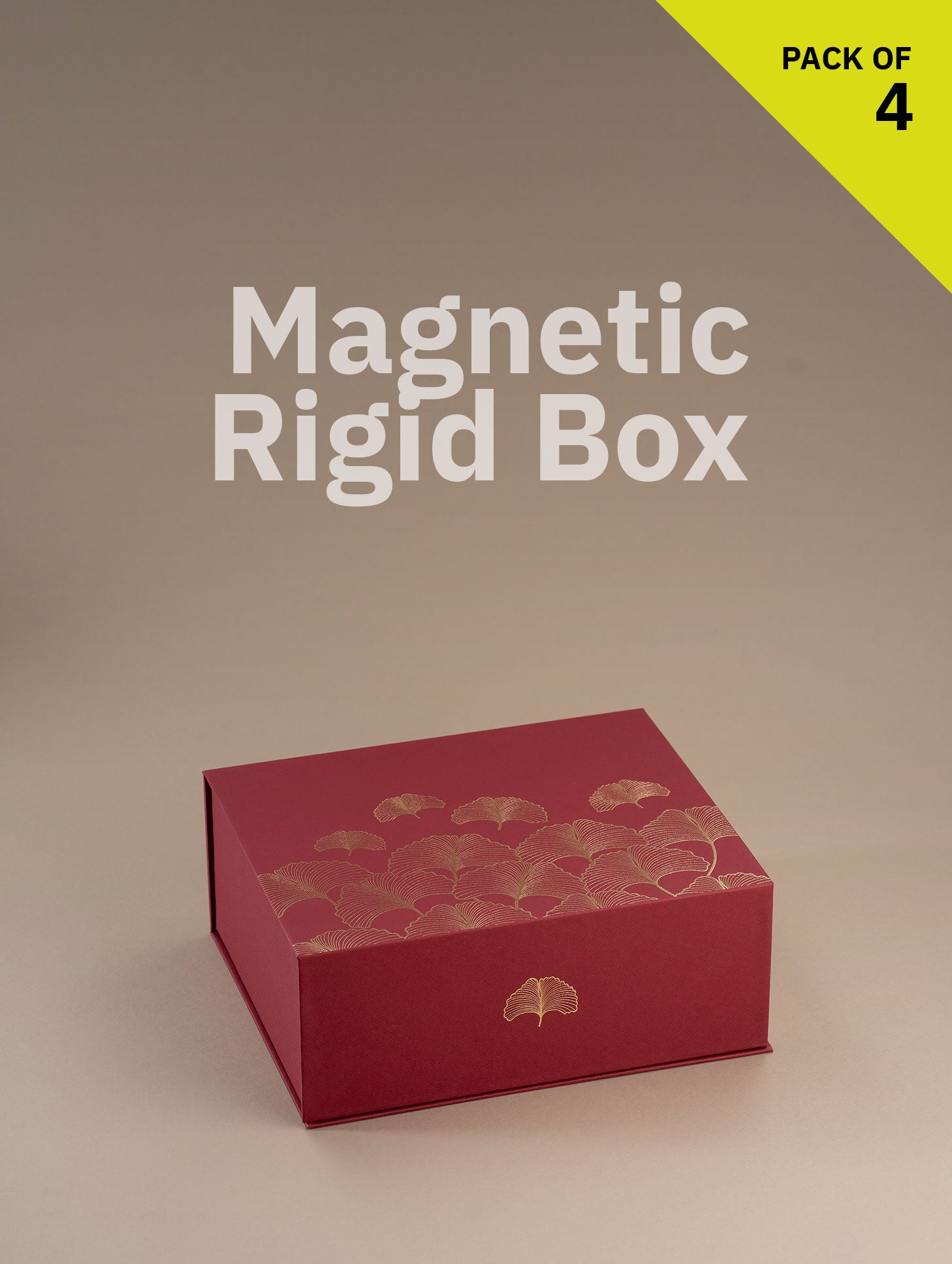 Magnetic Locking Box (Medium Size)
