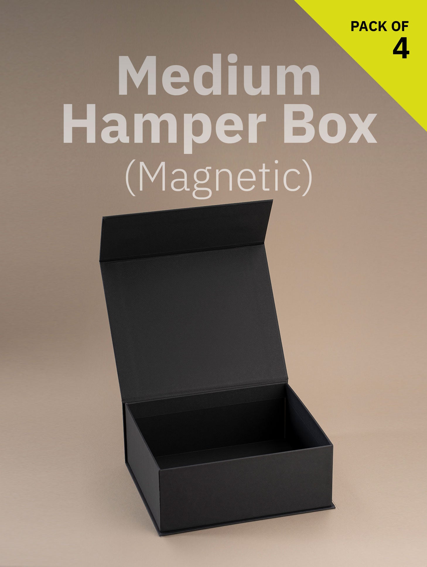 Magnetic Locking Box (Medium Size)