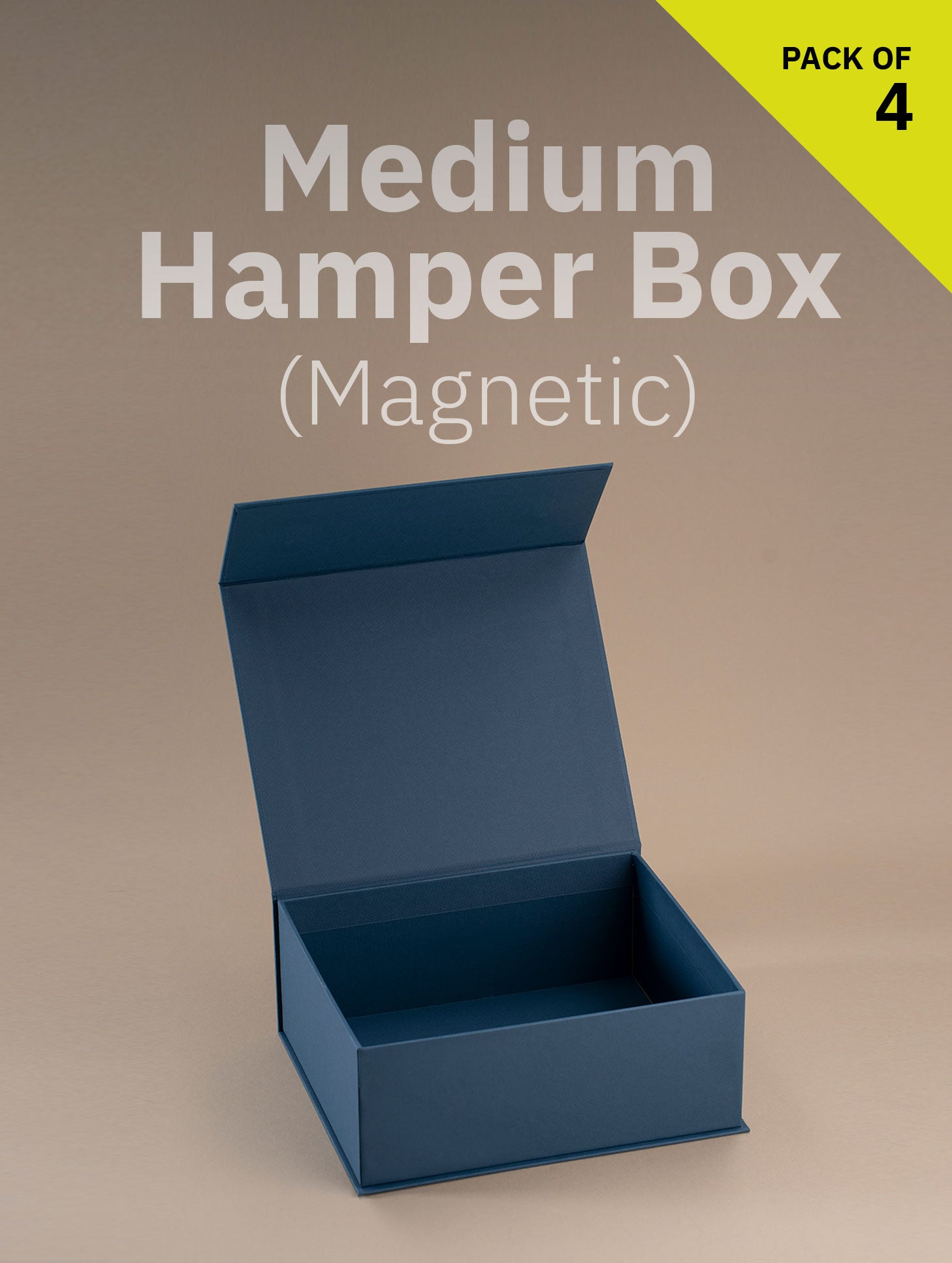 Magnetic Locking Box (Medium Size)