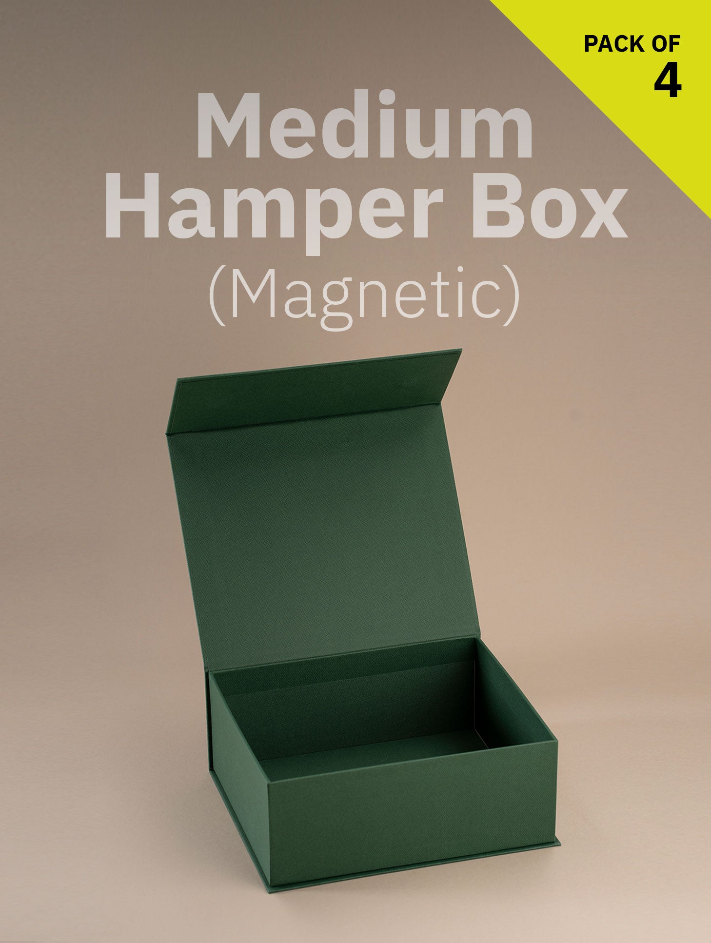 Magnetic Locking Box (Medium Size)